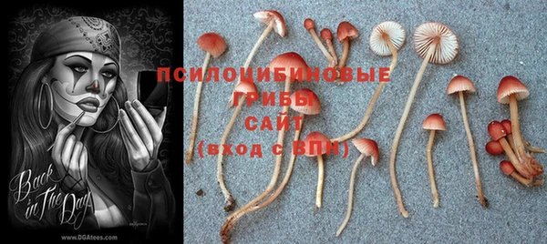 мдпв Белокуриха