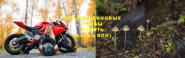 мдпв Беломорск