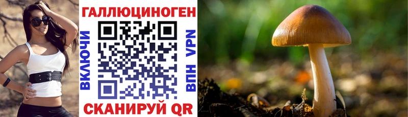 Галлюциногенные грибы GOLDEN TEACHER  наркотики  Светлогорск 